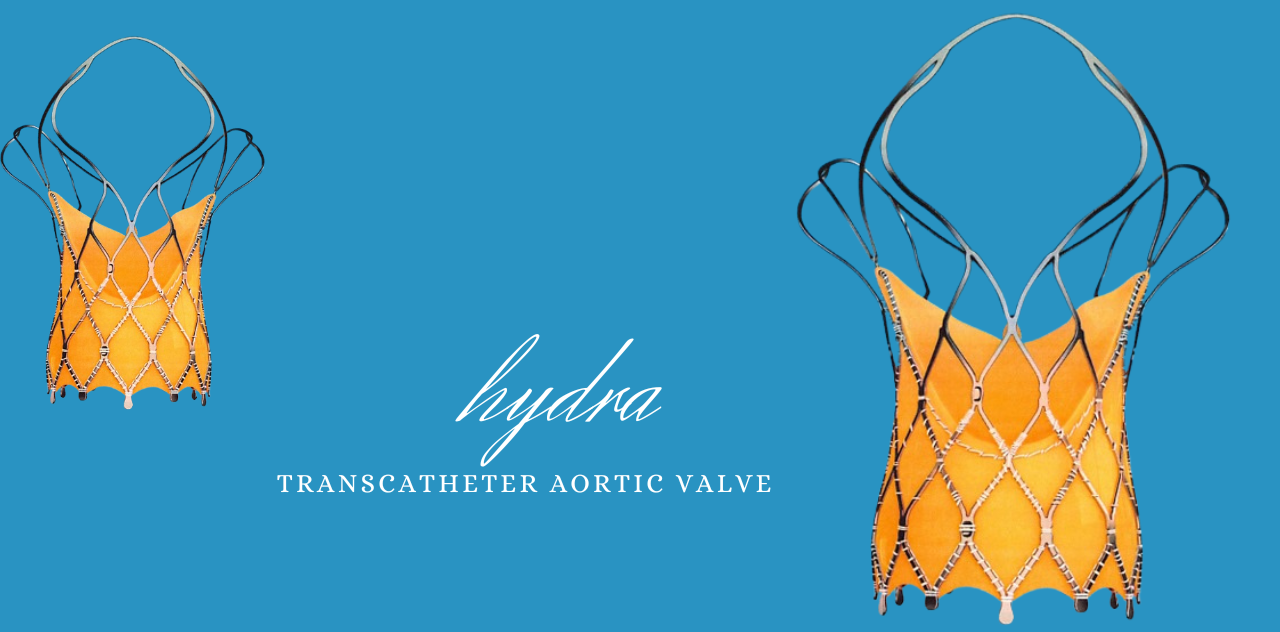 Image Desktop HydraN